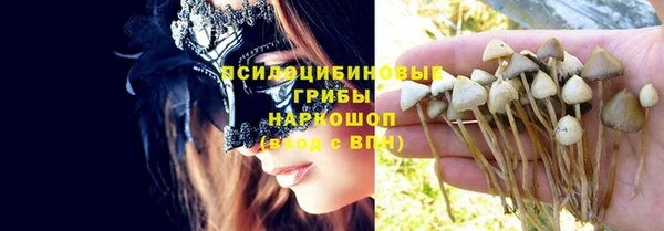 спиды Алексин