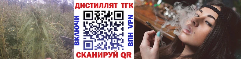 где найти   Чехов  omg ТОР  ТГК жижа 