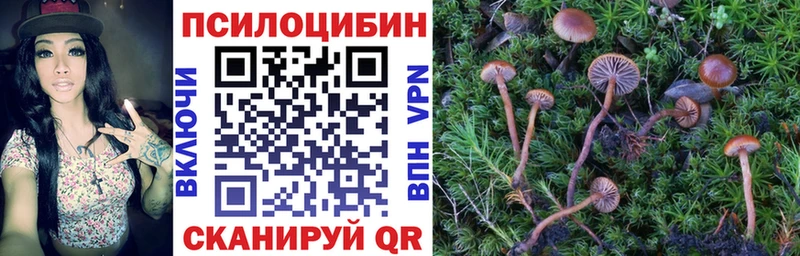 Галлюциногенные грибы Magic Shrooms  закладка  Чехов 